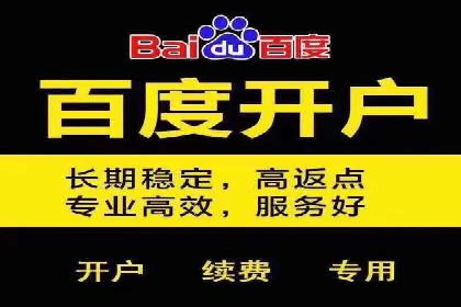 SEM公司案例分析：搜索引擎优化策略与执行